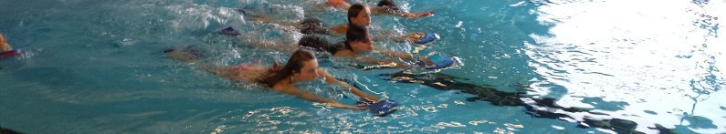 BfW Halle Schwimmtraining